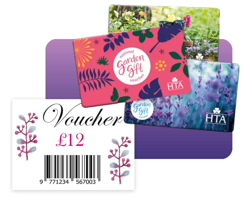 HTA Vouchers